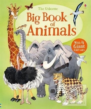 Big Book of Animals (Ciltli) Hazel Maskell